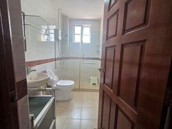Serangoon Garden Estate (D19), Semi-Detached #636254351